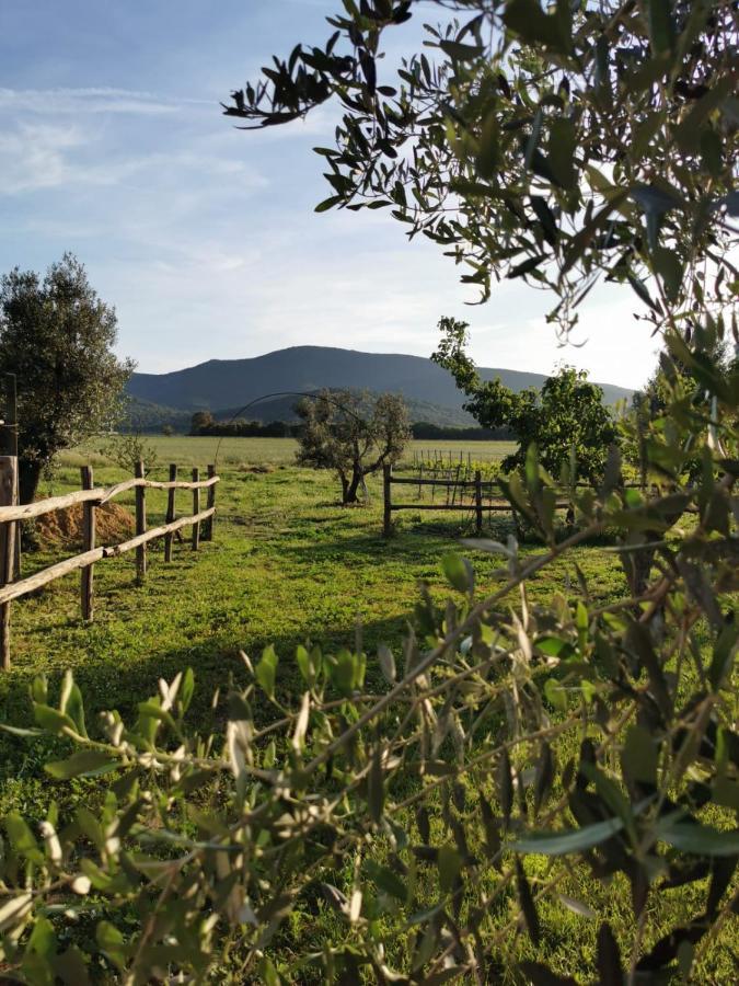 Podere Montecorno Alberese Kültér fotó